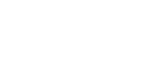 logo-ace-wide